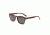 Simplify Bennett Bifocal Prescription Sunglasses, Brown Frame, SSU106-BNBI