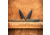 Skallywag Tactical Mako II Folding Knife, 3.5in, D2, Drop Point Blade, G10, Desert Tan Handle, Mako II - Desert Tan