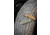 Skallywag Tactical Mako II Folding Knife, 3.5in, D2, Drop Point Blade, G10, Desert Tan Handle, Mako II - Desert Tan