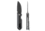 Skallywag Tactical Searoach Folding Knife, 2.75in, D2 Steel, G10 Handle, Black, The Searoach-Black