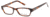 Skechers SE1570 Eyeglass Frames
