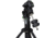 Sky Watcher EQ8-R Mount Head Only w/ Counterweights, Black, S30612