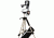 Sky Watcher Multi-Function Mount with Tripod S21300