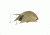 Slumberjack In-Season 2, White &amp; Brown, small 58756716