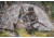 Slumberjack Nightfall Tent, Highlander, 1 Person, 58755420HLD 