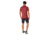 Smartwool Merino Sport 150 Polo - Mens, Masala, Medium, SW000372D42M