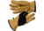 Smartwool Ridgeway Glove, Buck, Large, SW0SC556146-L