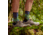 Smartwool Trail Run Targeted Cushion Neature Print Crew Socks