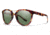 Smith Optics Bridgetown Progressive Prescription Sunglasses, Tortoise Frame, Polarized, BNCPGNTTPR
