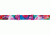 Smith Optics Cadence Goggle Magenta Tropidelic Frame/Blue Sensor/RC36 Lens CD4ZMR15