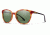 Smith Optics Cheetah Bifocal Prescription Sunglasses, Matte Honey Tort/Black Frame, Polarized, CTCPGNMHTBI