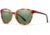 Smith Optics Cheetah Progressive Prescription Sunglasses, Matte Honey Tort/Black Frame, Polarized, CTCPGNMHTPR