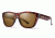 Smith Optics Clark Progressive Prescription Sunglasses, Vintage Havana Frame, Polarized, CKCPBRVHVPR