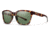 Smith Optics Founder Single Vision Prescription Sunglasses, Tortoise Frame, Polarized, FOPPGNTTSV