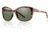Smith Optics Lookout sg, Yellow Tortoise/Gray grn carb TLT lens LTPCGNYT