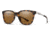 Smith Roam Sunglasses, Matte Tortoise Frame, ChromaPop Polarized Brown Lens, 20126450L53L5