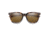 Smith Roam Sunglasses, Tortoise Frame, ChromaPop Polarized Brown Lens, 20126408653L5
