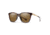Smith Roam Sunglasses, Tortoise Frame, ChromaPop Polarized Brown Lens, 20126408653L5
