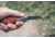 Smith &amp; Wesson Executive Spring Assist Barlow, Wood Handle, Blister, 1160818