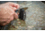 Smiths Caprella 2-Step Sharpener, Black, SP-51106