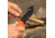Smiths Edgesport Fixed Blade Gut Hook Combo Knife, 4 in, Blaze Orange, SP-51235