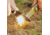 Smiths Pack Pal Diamond Combination Sharpener, Gray, SP-51178