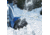 Snow Joe 11-Inch 10-Amp Electric Snow Shovel with Light, Blue 324E