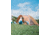 Snow Peak Amenity Dome Tent, Medium, SDE-001RH