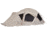 Snow Peak Dock Dome Pro, One Size, SD-507IV