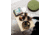 Snow Peak Lounge Cushon, Green, TM-096GR