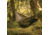 SnugPak Tropical Hammock, Olive, 61640