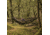 SnugPak Tropical Hammock, Olive, 61640