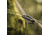 SnugPak Tropical Hammock, Olive, 61640