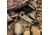 SOG Specialty Knives &amp; Tools Kiku Assisted Folding Knife, Black, KU-3004