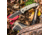 SOG Specialty Knives &amp; Tools Kiku Assisted Folding Knife, Black, KU-3004