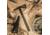 SOG Specialty Knives &amp; Tools Tactical Tomahawk Axe, 2.75in, 420 Stainless Blade, Glass-Reinforced Nylon Handle, Black/Black, SOG-F01TN-CP