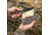 SOG Specialty Knives &amp; Tools Trident FX Fixed Blade Knives, 4.2in, CRYO 4116, Black Partially Serrated Tanto Blade, OD Green GRN Handle, 17-12-04-57