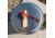 Solo Stove Bonfire Lid, Stainless Steel, Medium, ssbon-lid