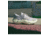 Sorel Explorer Blits Stride Lace Sneakers - Womens, Dark Stone/Bolt Hint, 7.5 US, 1986331-278-7.5