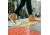 Sorel Out N About Slip-On Wedge Boots - Womens, Tawny Buff/Chalk, 11, 2033021-253-11