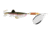 South Bend Mini Spin 1/6oz Silver/Rainbow Trout Number 1, SB-MIN16-RBT