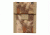 Spec Ops T.H.E. Wallet, Mini, Kryptek Highlander 100070334