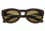 Spectrum Sunglasses Munro S126br Sunglasses, Purple Frame, Brown Lens SSGS126BR