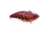 Spro Aruku Shad 75 Lipless Rattle Crankbait, Sinking, Western Craw, 3in, 5/8oz, SAS75WCW