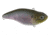 Spro Aruku Shad Jr. Lipless Crankbait, Sinking, Spooky Shad, 2in, 3/8oz, SAS60SPS