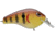 Spro Fat Papa Square Bill Cranibait, 3ft, Dives 5in
