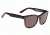 Spy Optic Beachwood Bifocal Prescription Sunglasses, Dark Tort Frame, 673027075885BI