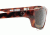 Spy Optic Kash Single Vision Prescription Sunglasses - Classic Tortoise Frame 572002808000RX