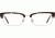 Spy Optic Lewis Bifocal Prescription Eyeglasses, Dark Tort/Gold Frame, 573456664000BI