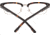 Spy Optic Lewis Bifocal Prescription Eyeglasses, Dark Tort/Gold Frame, 573456664000BI